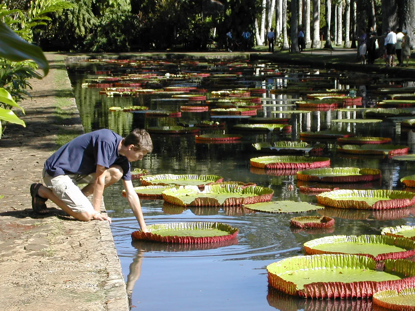 Pamplemousses, Mauritius