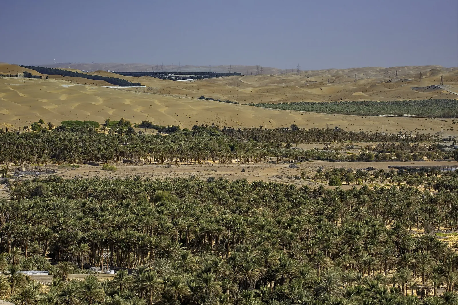 Liwa and Empty Quarter, United Arab Emirates