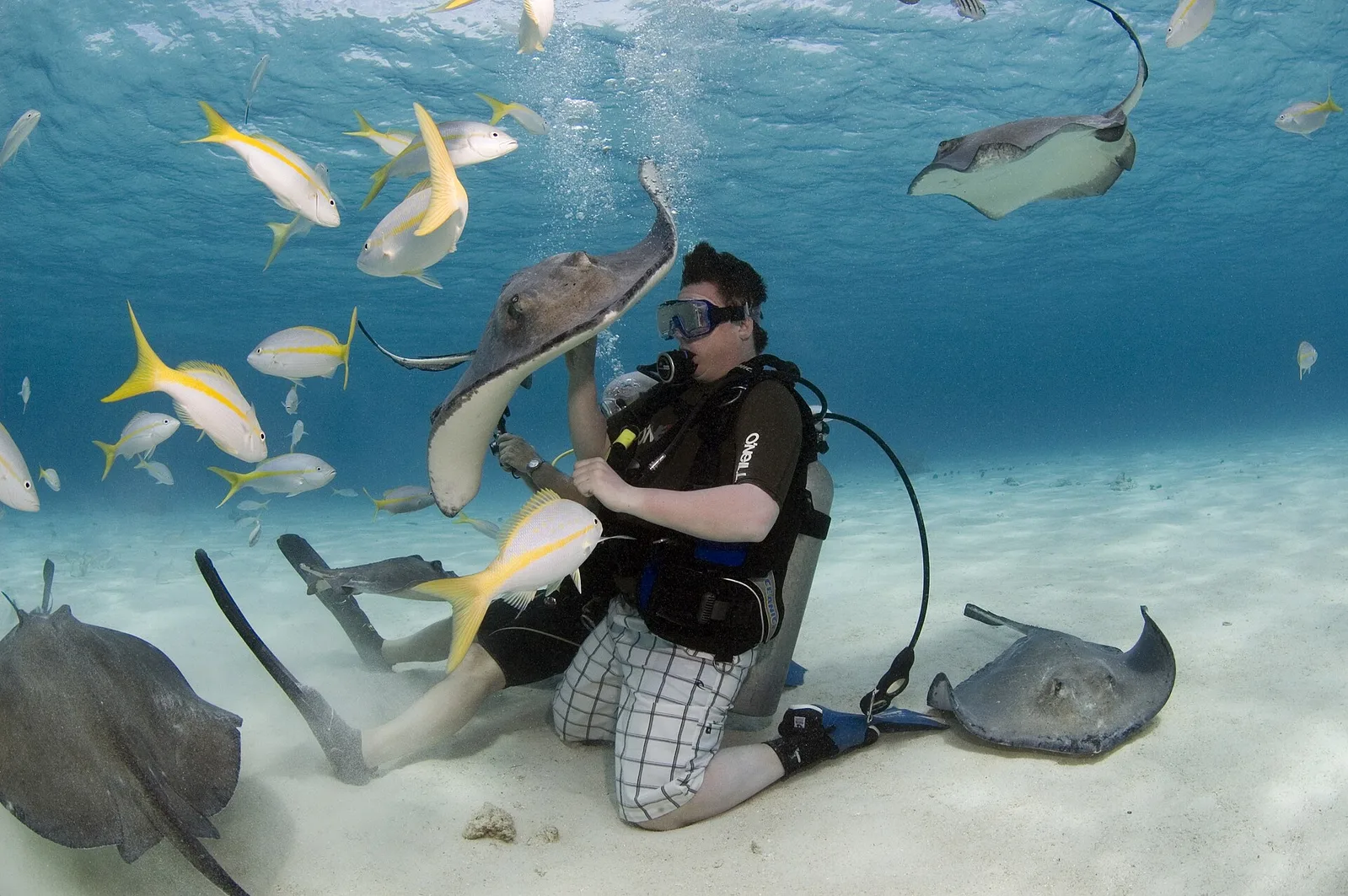Stingray City and offshore shallows, Antigua and Barbuda