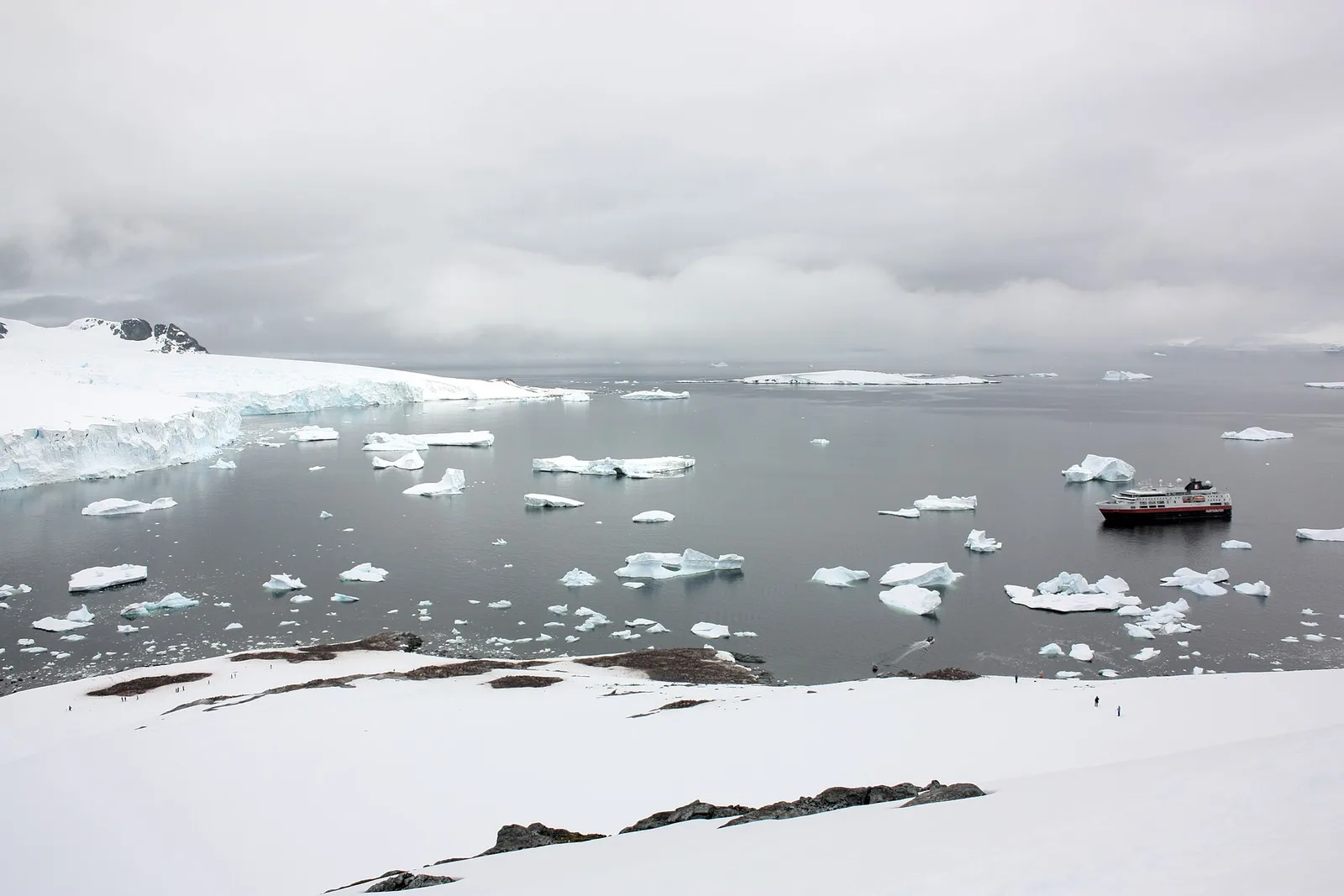 Cuverville Island, Antarctica