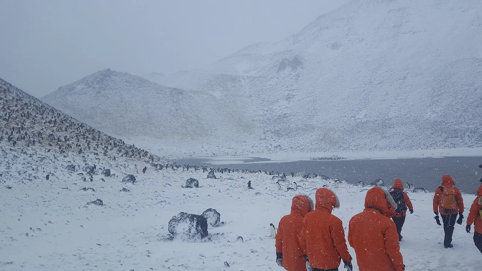 Paulet Island, Antarctica