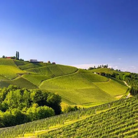 South Styrian Wine Road