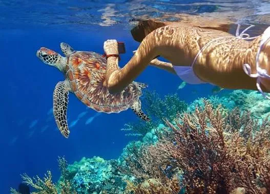Marine reserve excursions