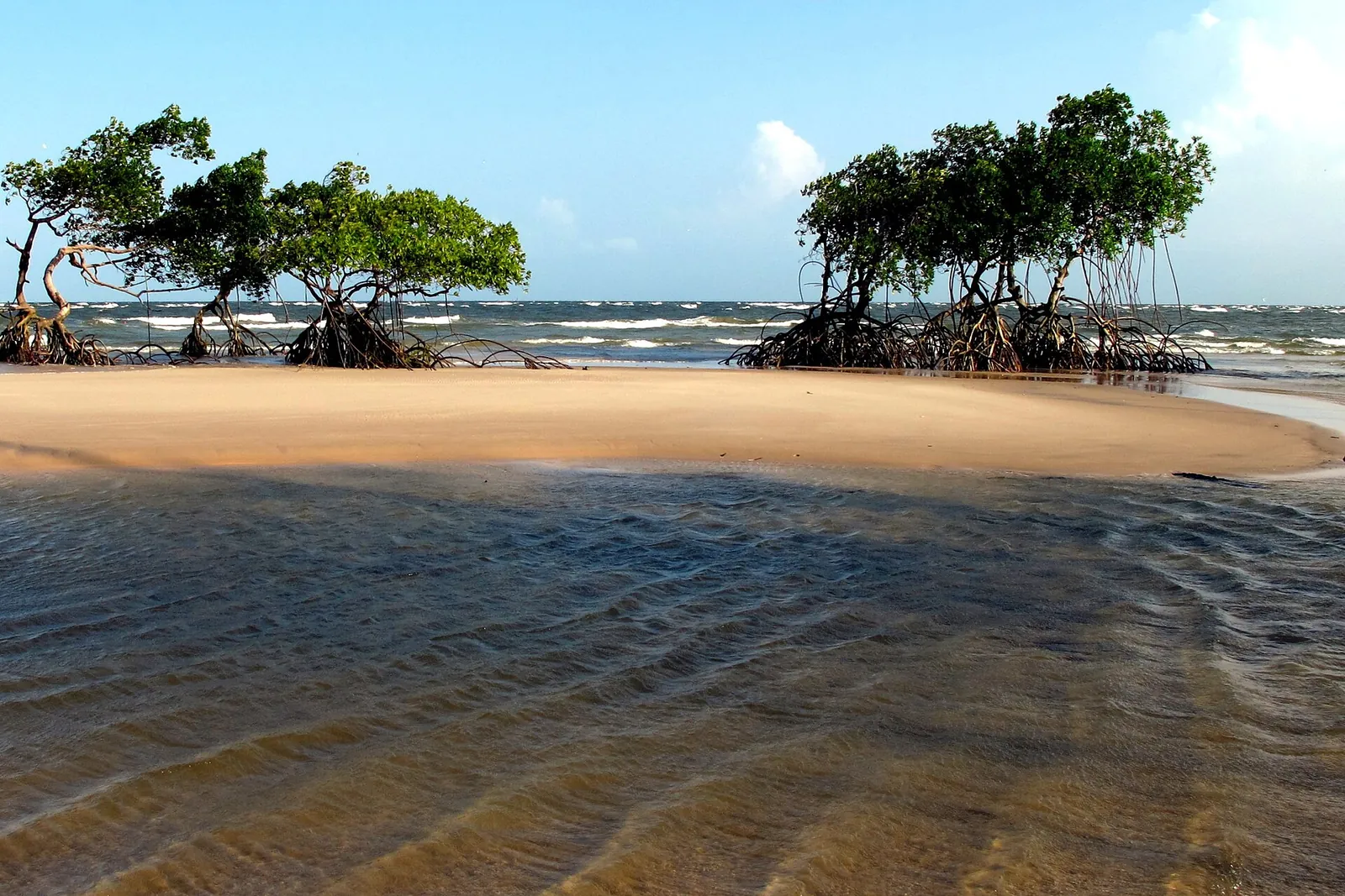 Ilha de Marajó, Brazil