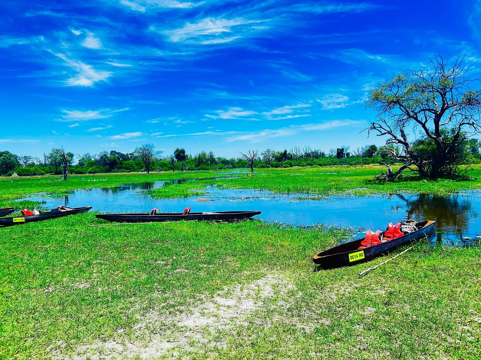 Linyanti and Selinda, Botswana