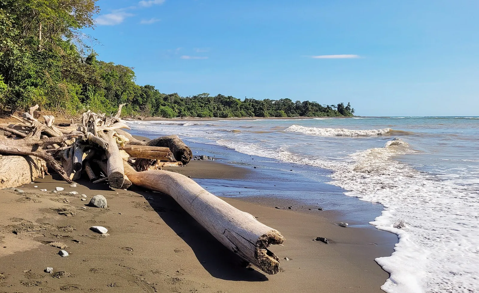 Puerto Jiménez and Corcovado, Costa Rica