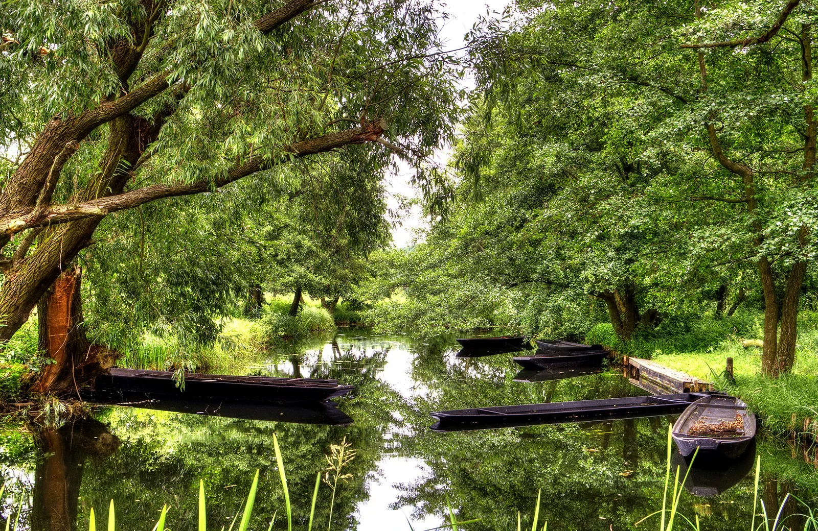 Spreewald and Brandenburg Lakes, Germany