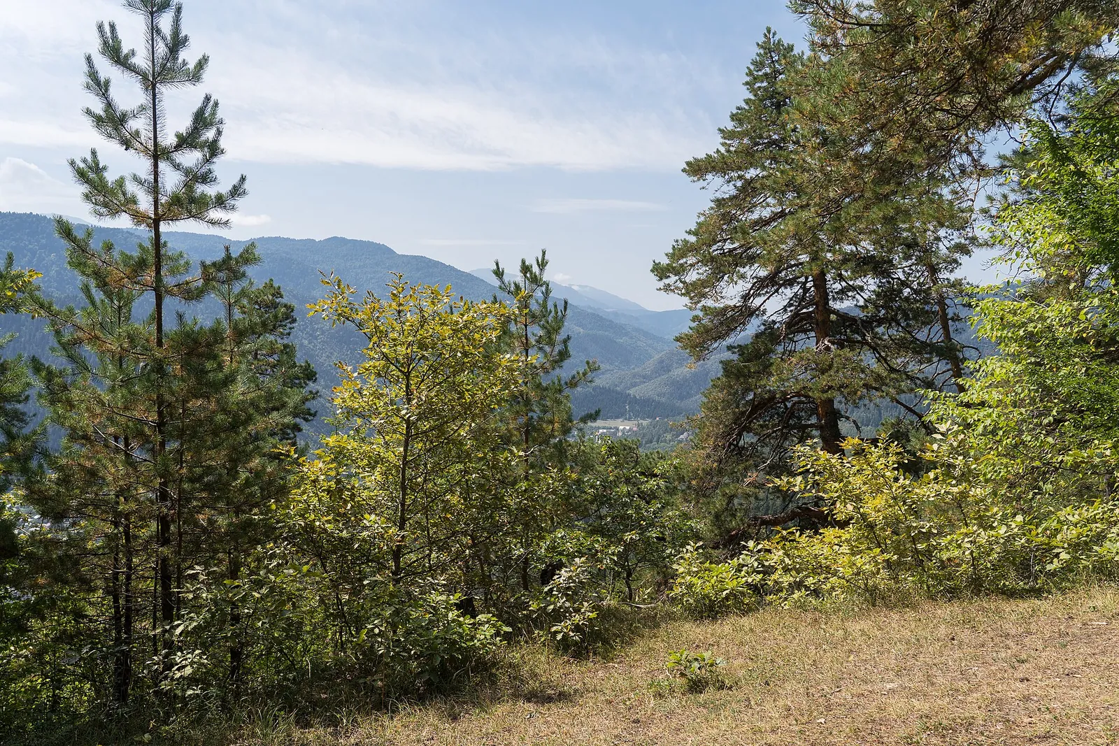 Borjomi and Likani, Georgia