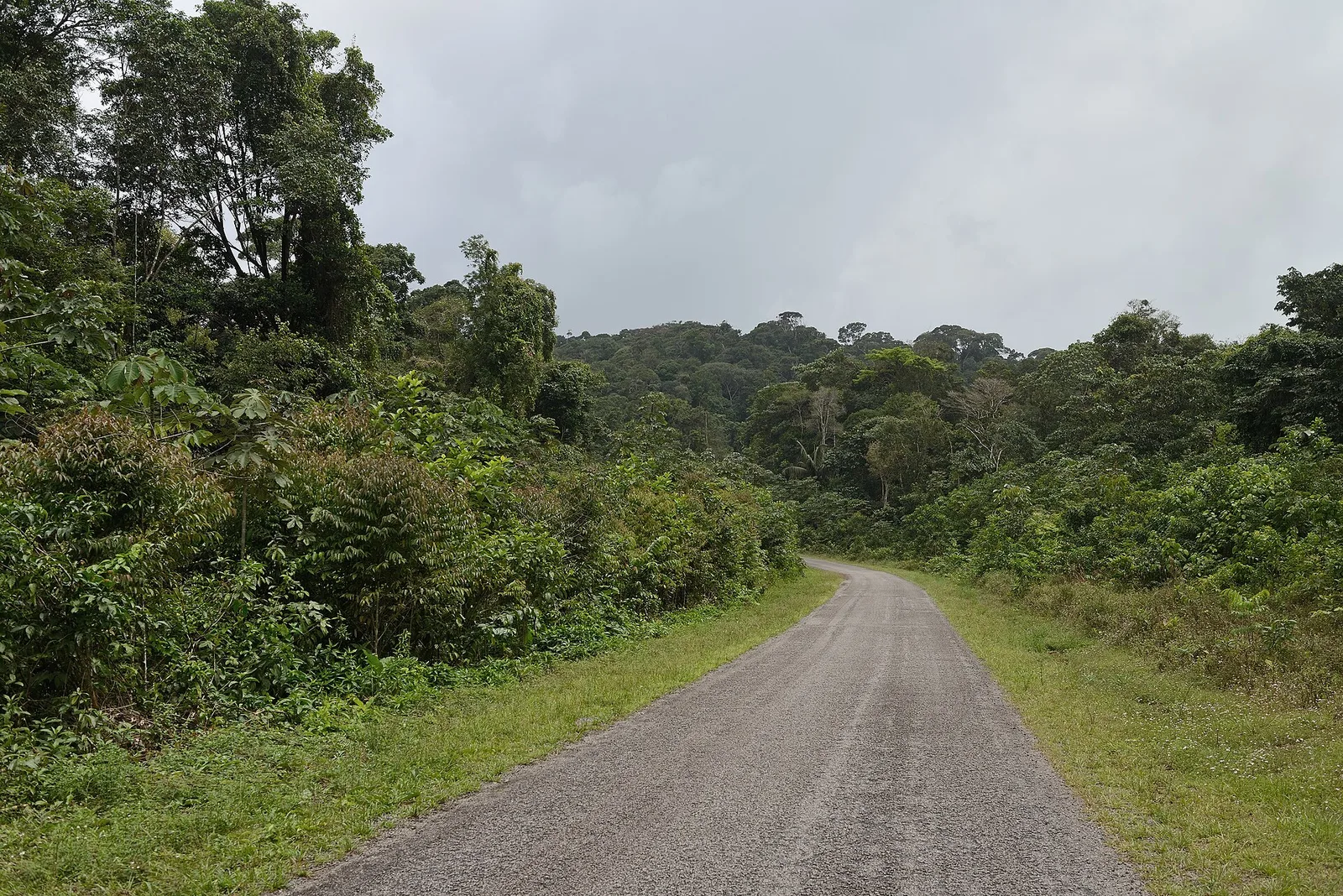 Roura and Montagne de Kaw, French Guiana