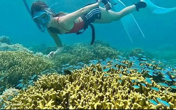 Marine excursions around Guam