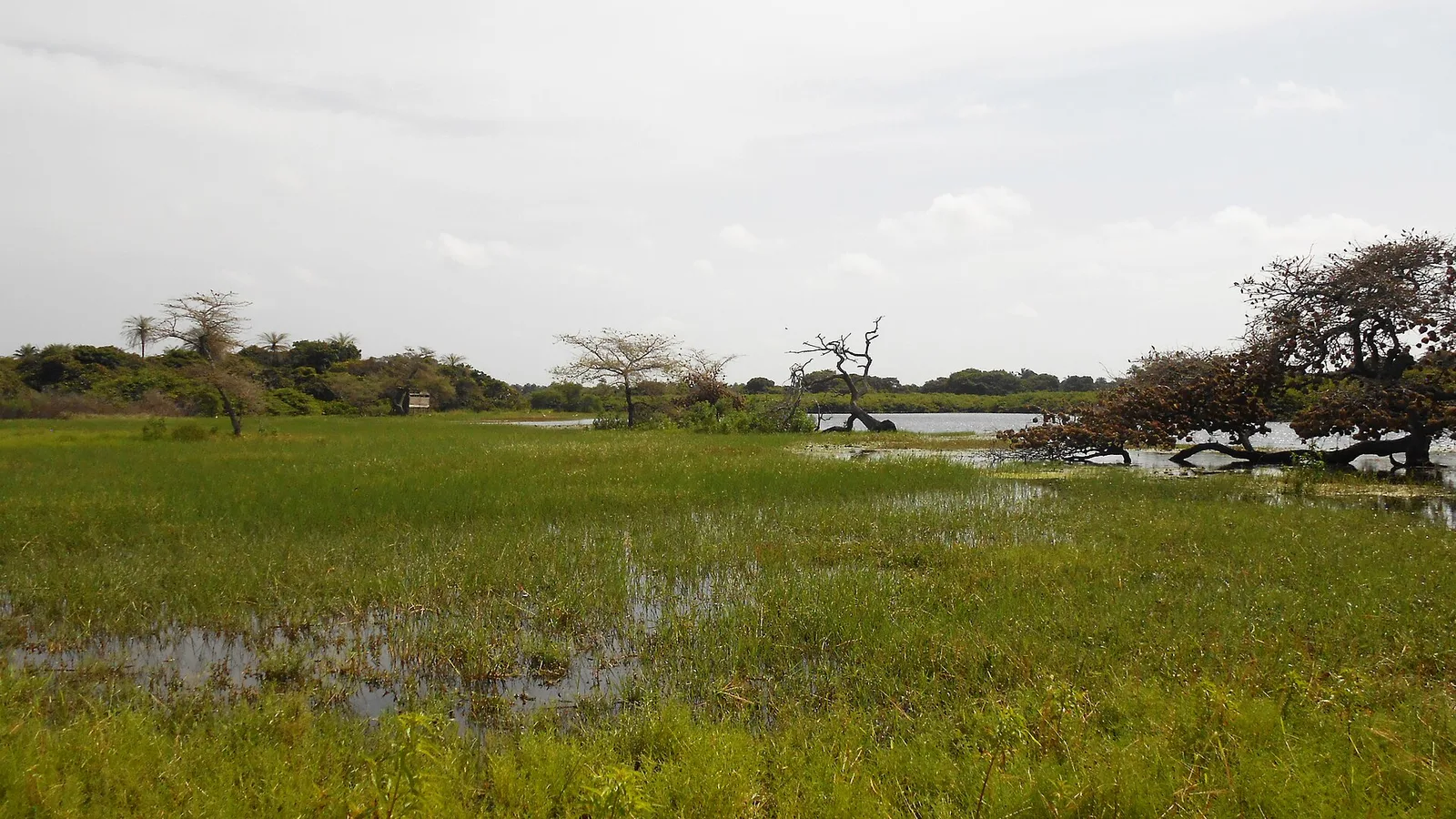 Orango National Park, Guinea-Bissau