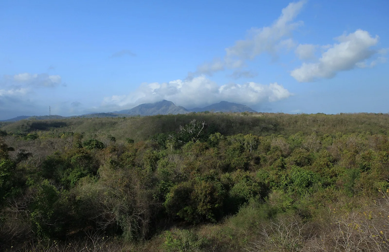 West Bali National Park and Pemuteran, Indonesia
