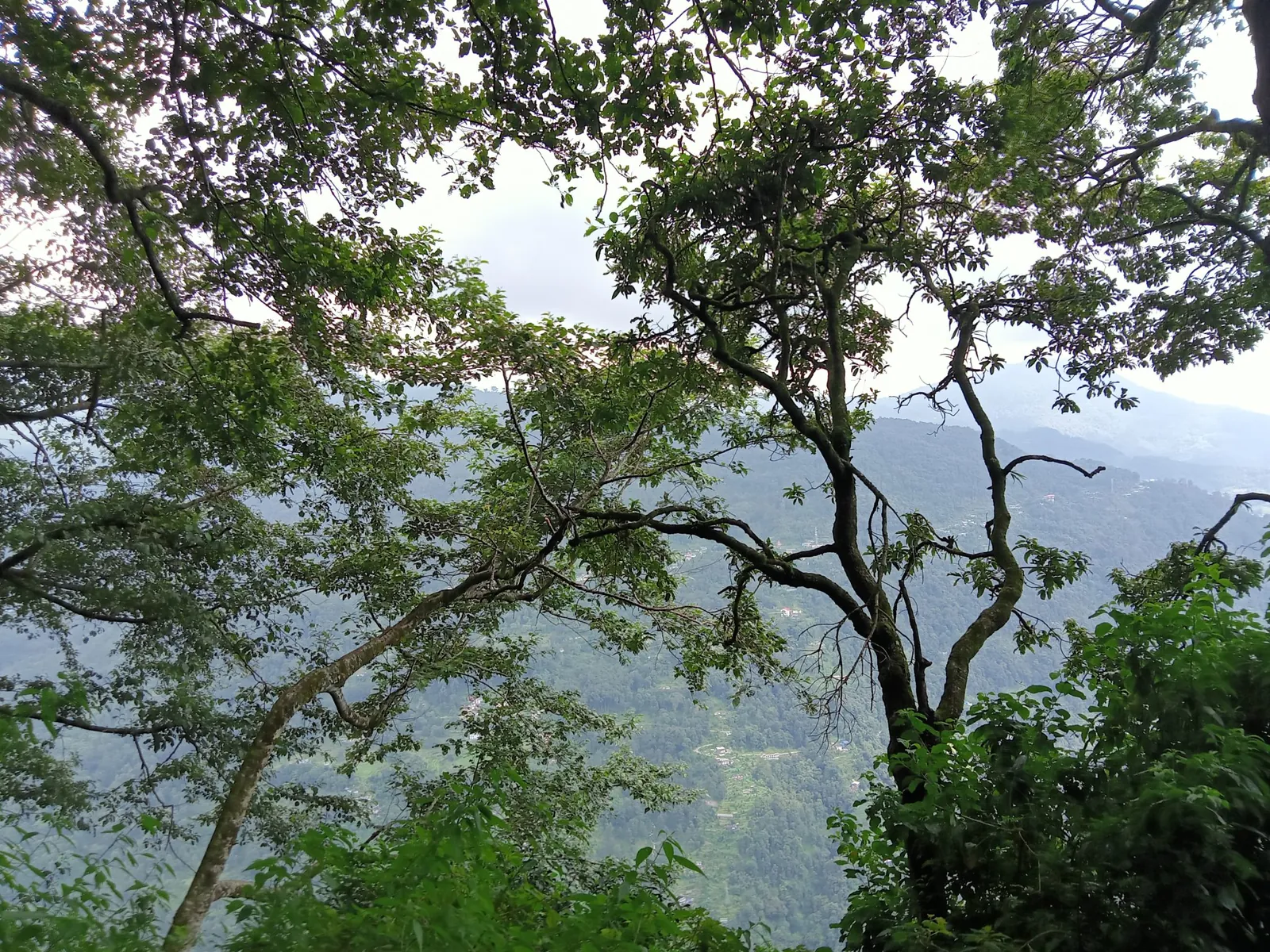 Gangtok and Rumtek, India