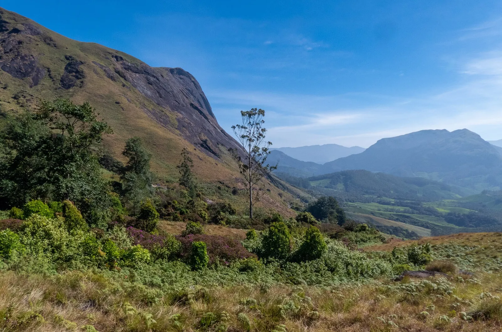 Munnar and Thekkady, India
