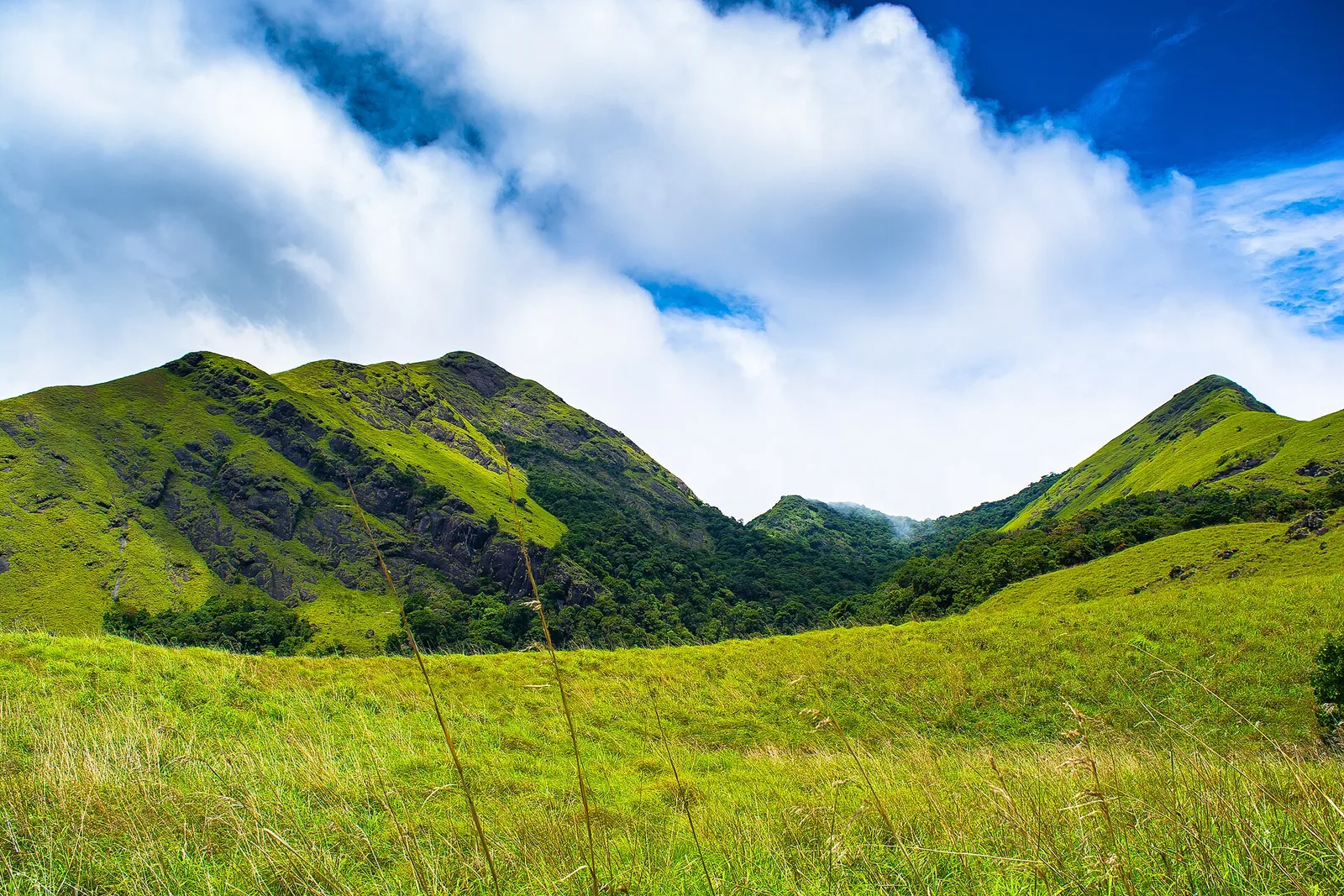 Wayanad and Kannur, India