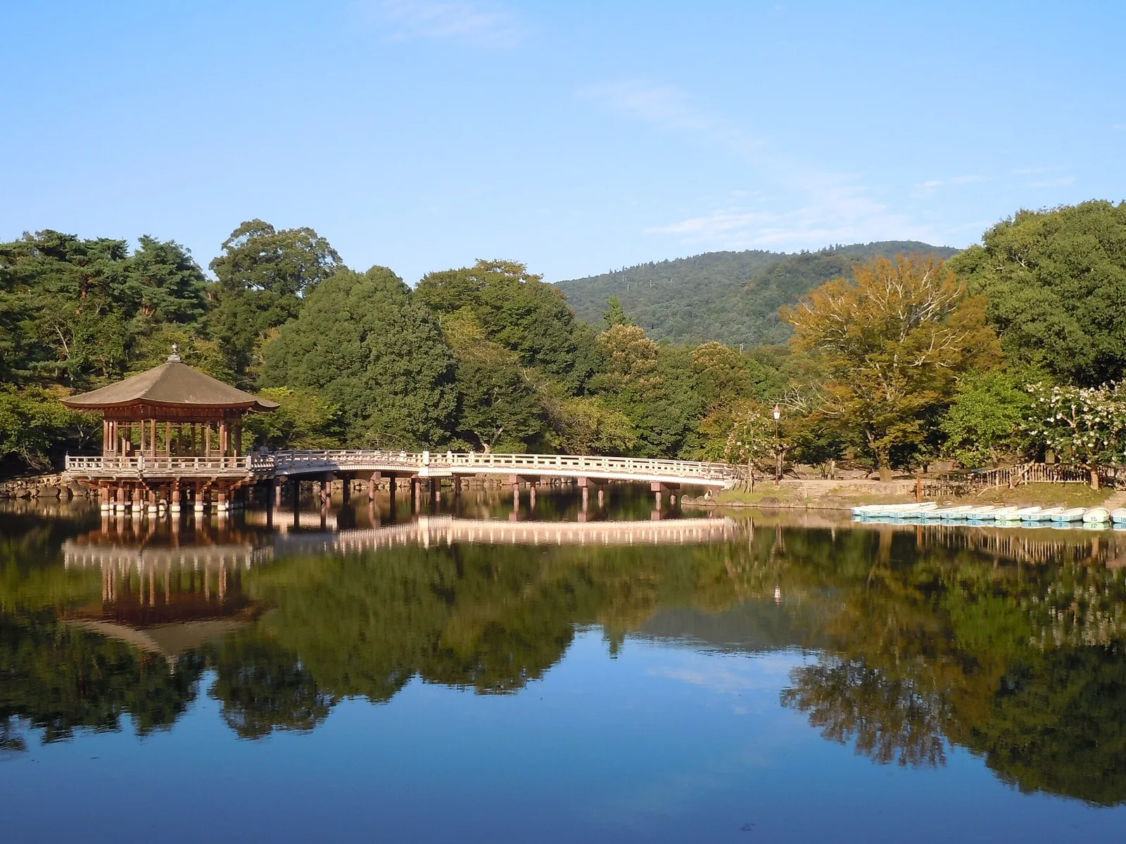 Nara temples and deer park, Japan