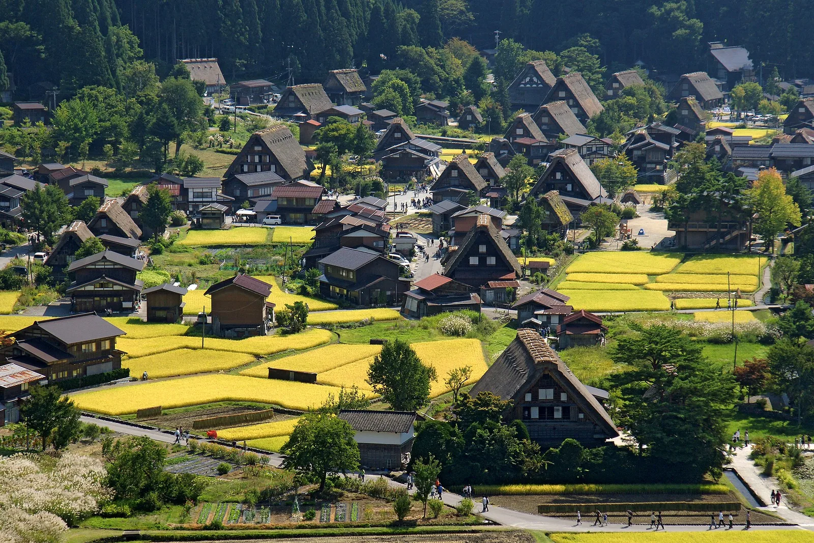 Takayama Shirakawa-go and Gifu, Japan