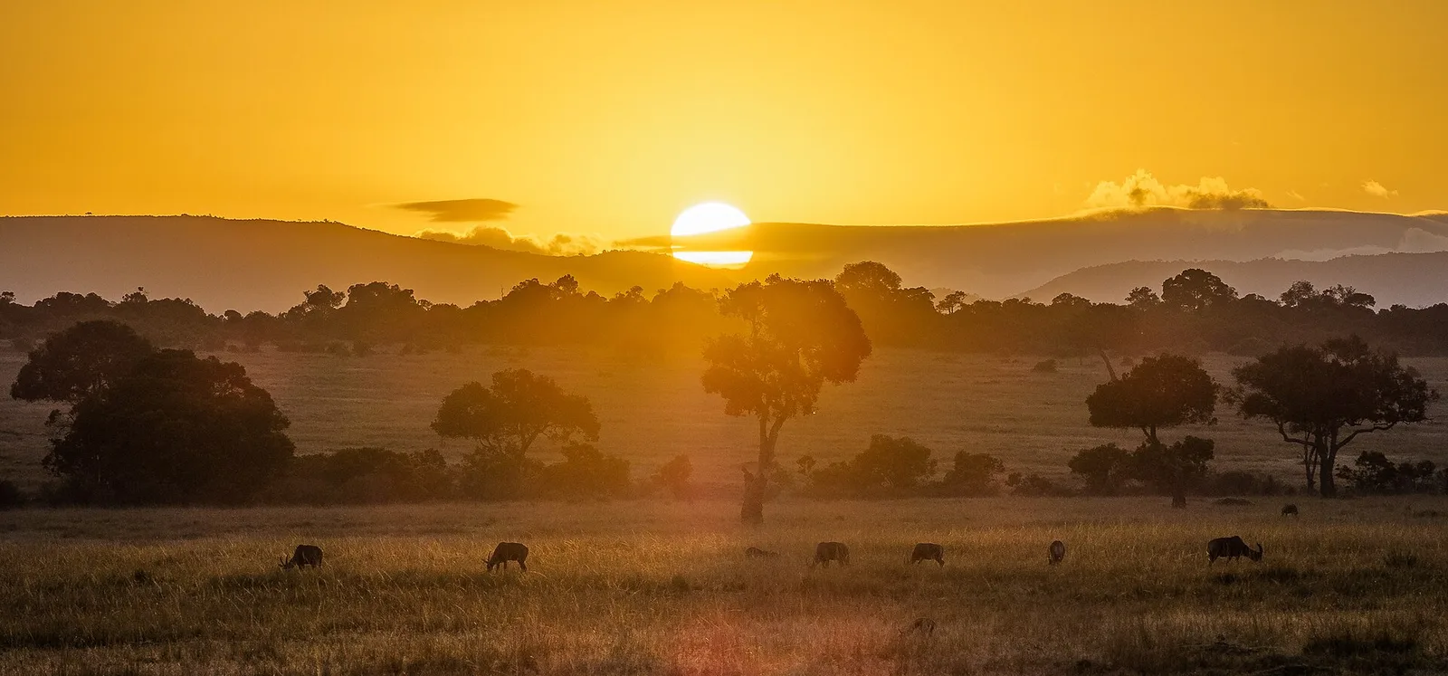 Maasai Mara reserve, Kenya