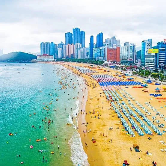 Busan urban coast