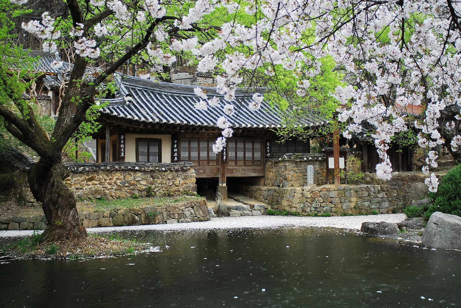Daejeon and Gongju, South Korea (Republic of Korea)