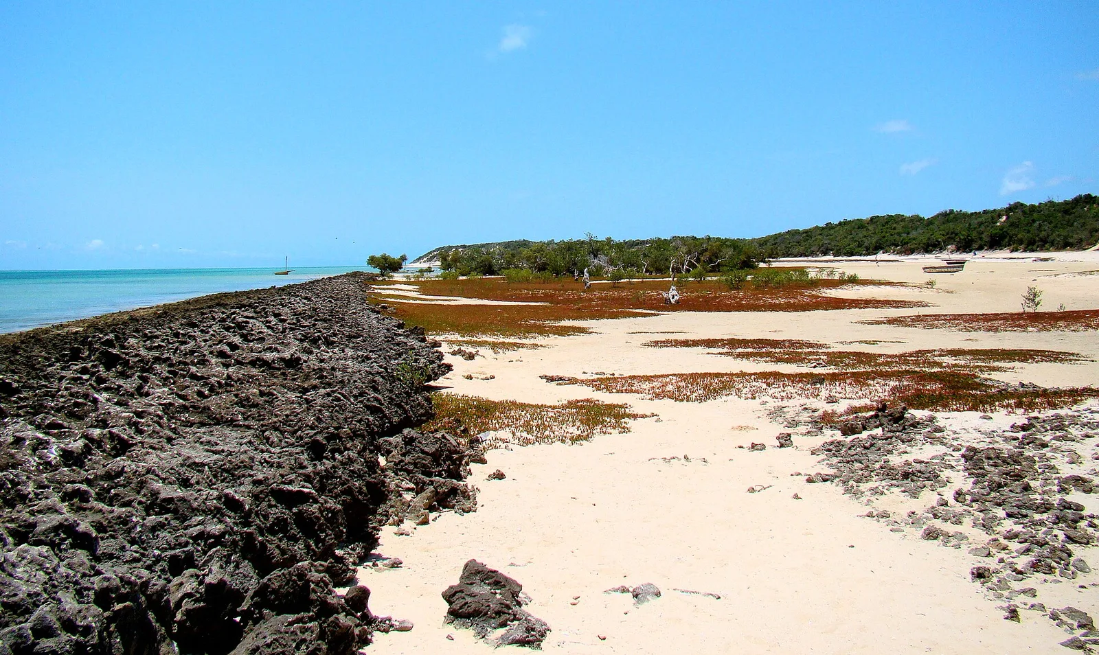 Representative country image: Bazaruto Marine National Park