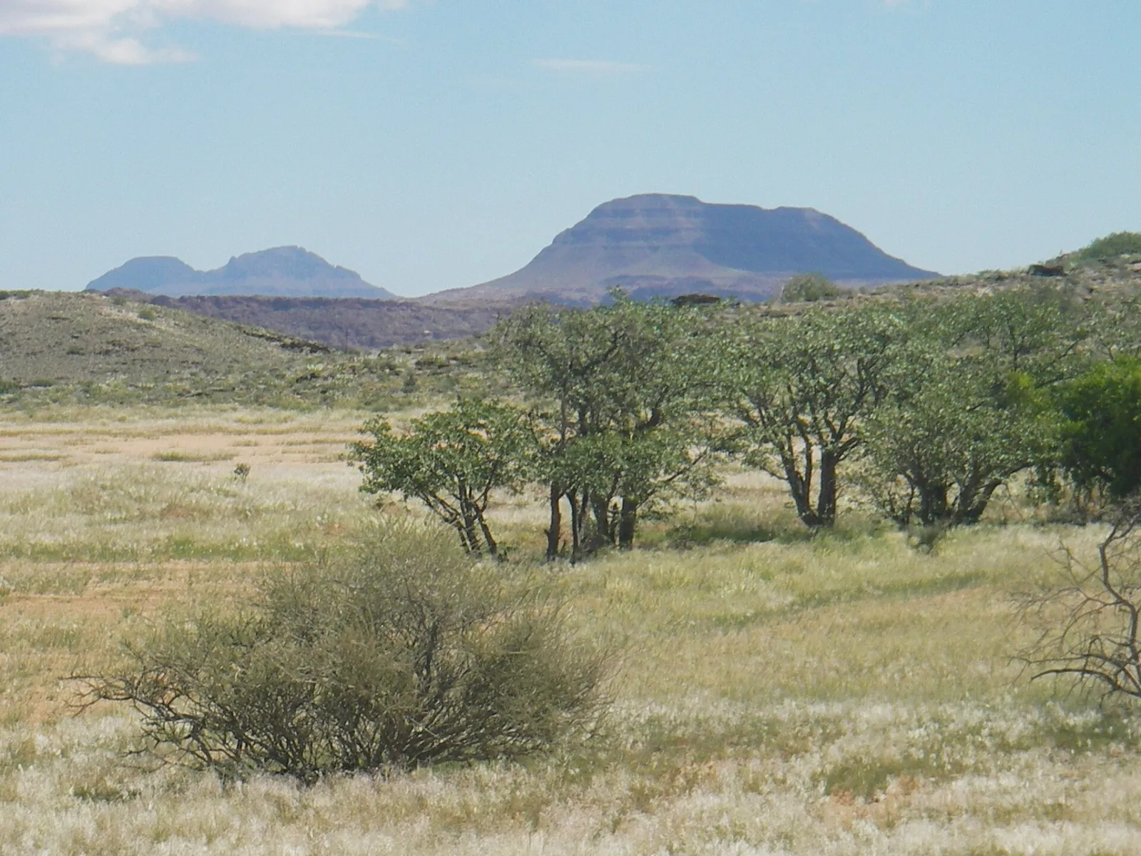 Twyfelfontein and Damaraland, Namibia