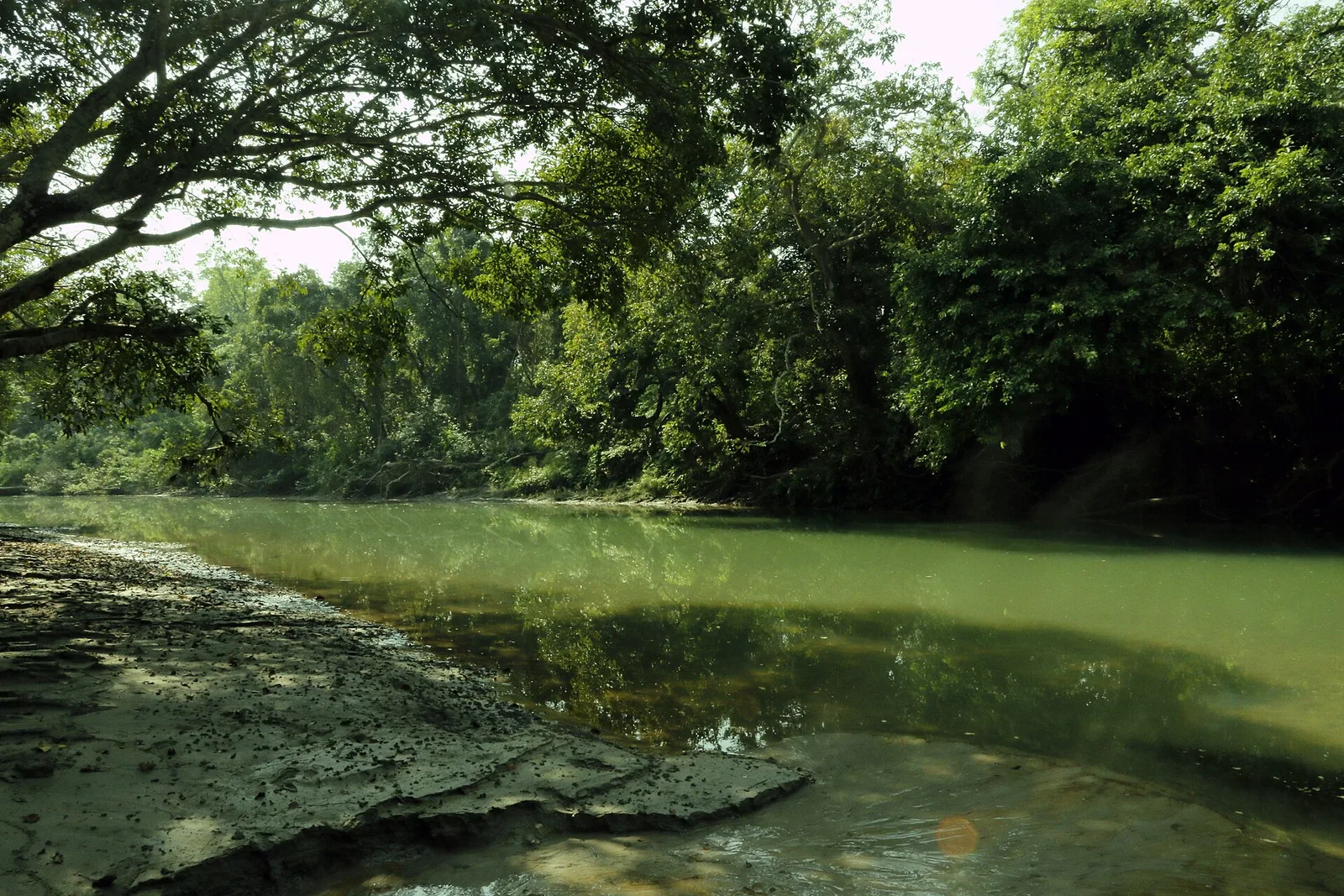 Bardia National Park, Nepal