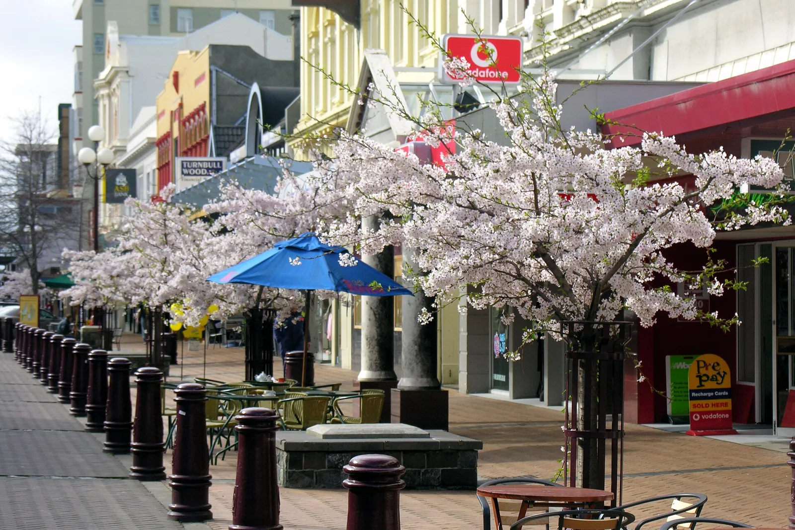 Invercargill and the Catlins, New Zealand