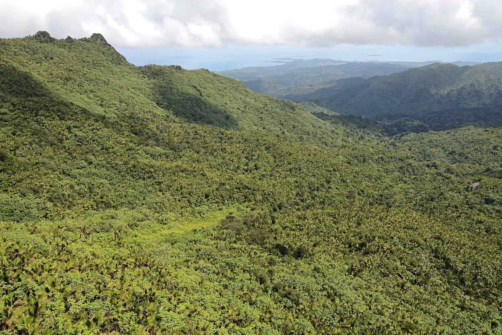 El Yunque, Luquillo and Fajardo, Puerto Rico
