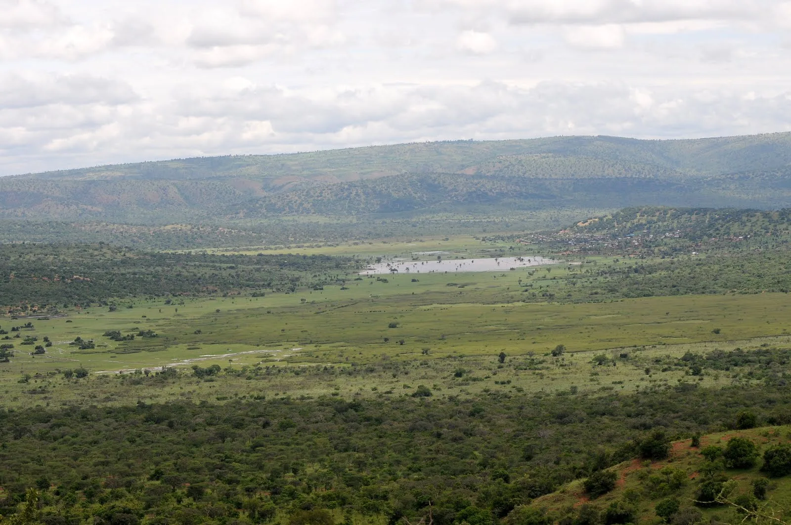 Representative country image: Akagera National Park
