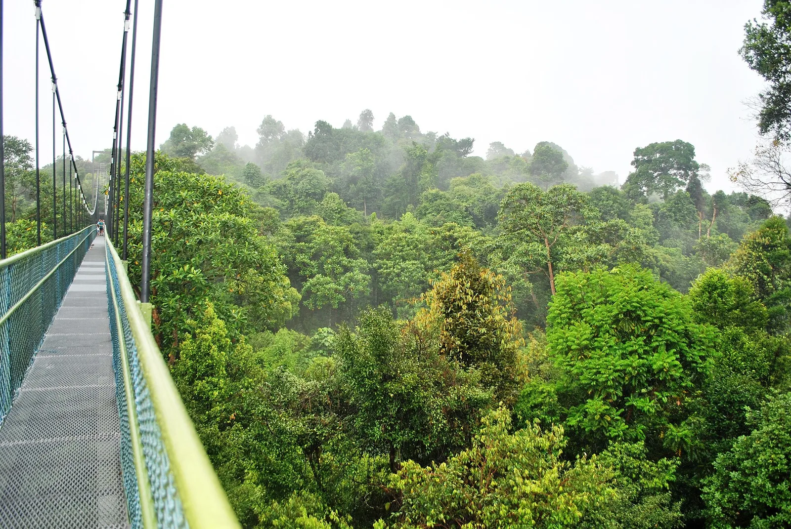 Central Catchment and Mandai, Singapore
