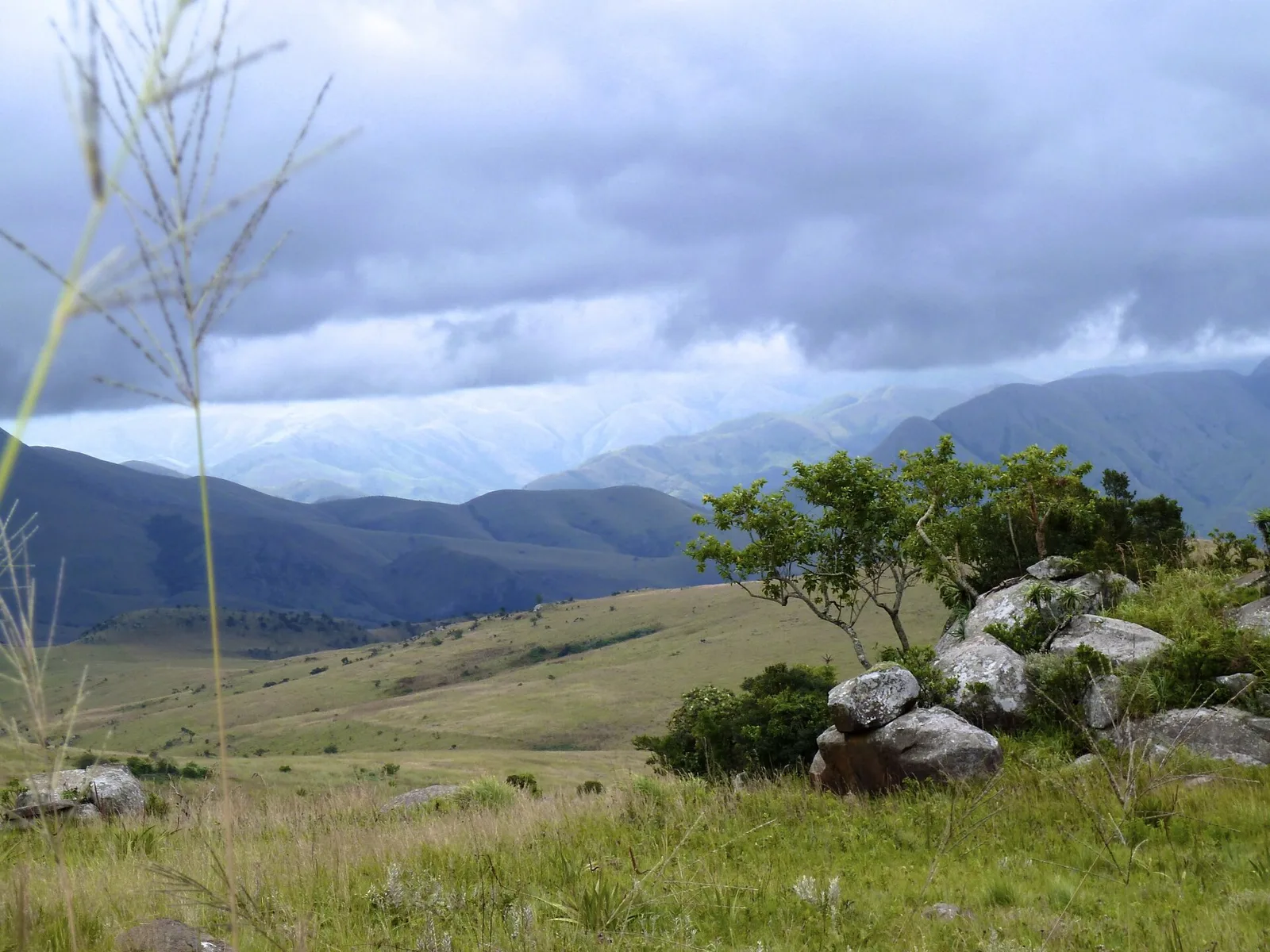 Malolotja Nature Reserve, Eswatini