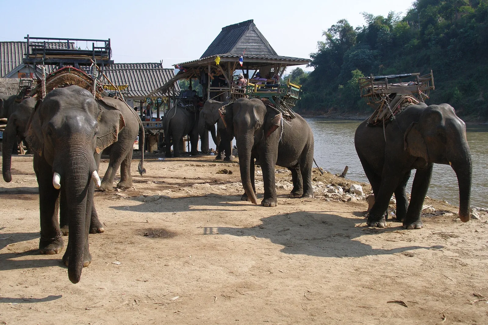 Chiang Rai, Thailand