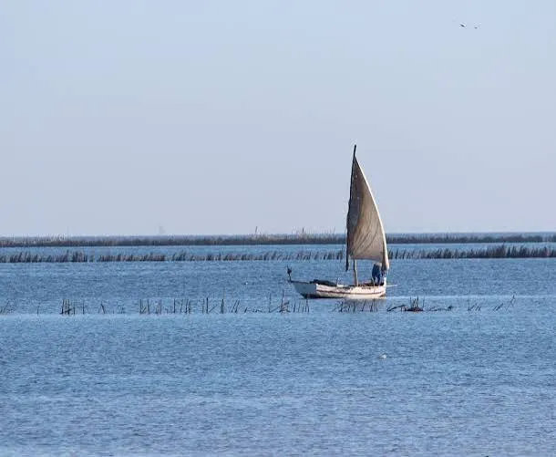 Kerkennah Islands