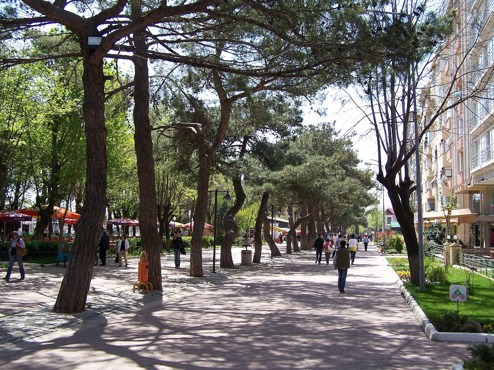 Kirklareli and Igneada, Türkiye