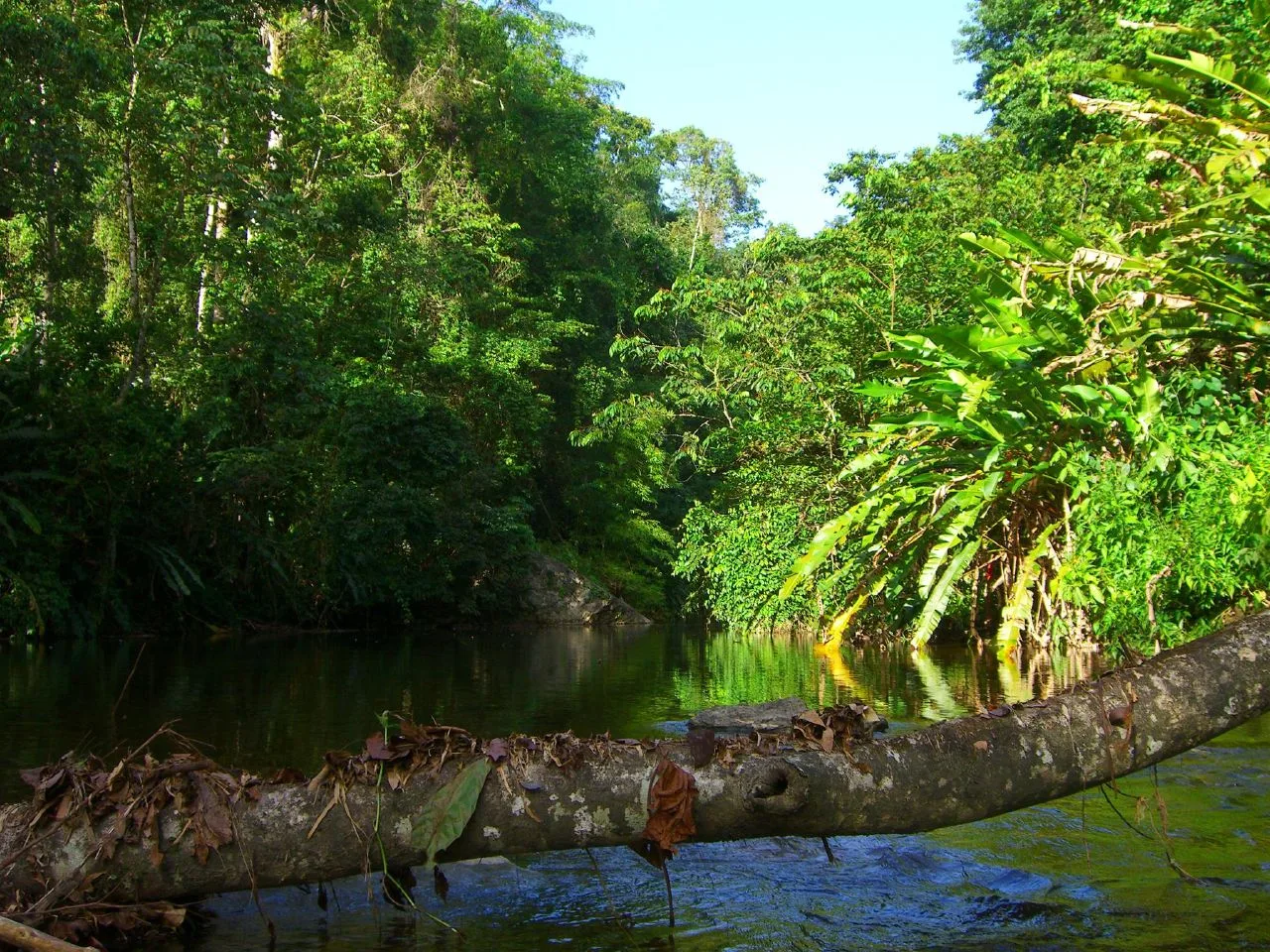 Grande Riviere, Trinidad and Tobago
