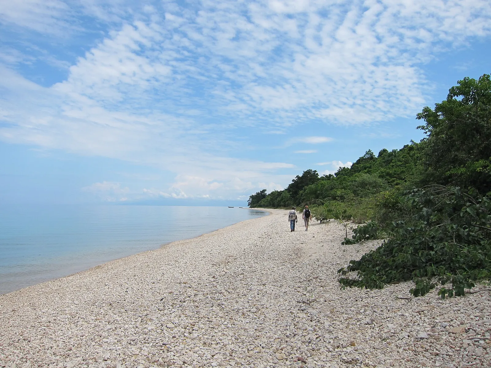 Gombe Stream, Tanzania
