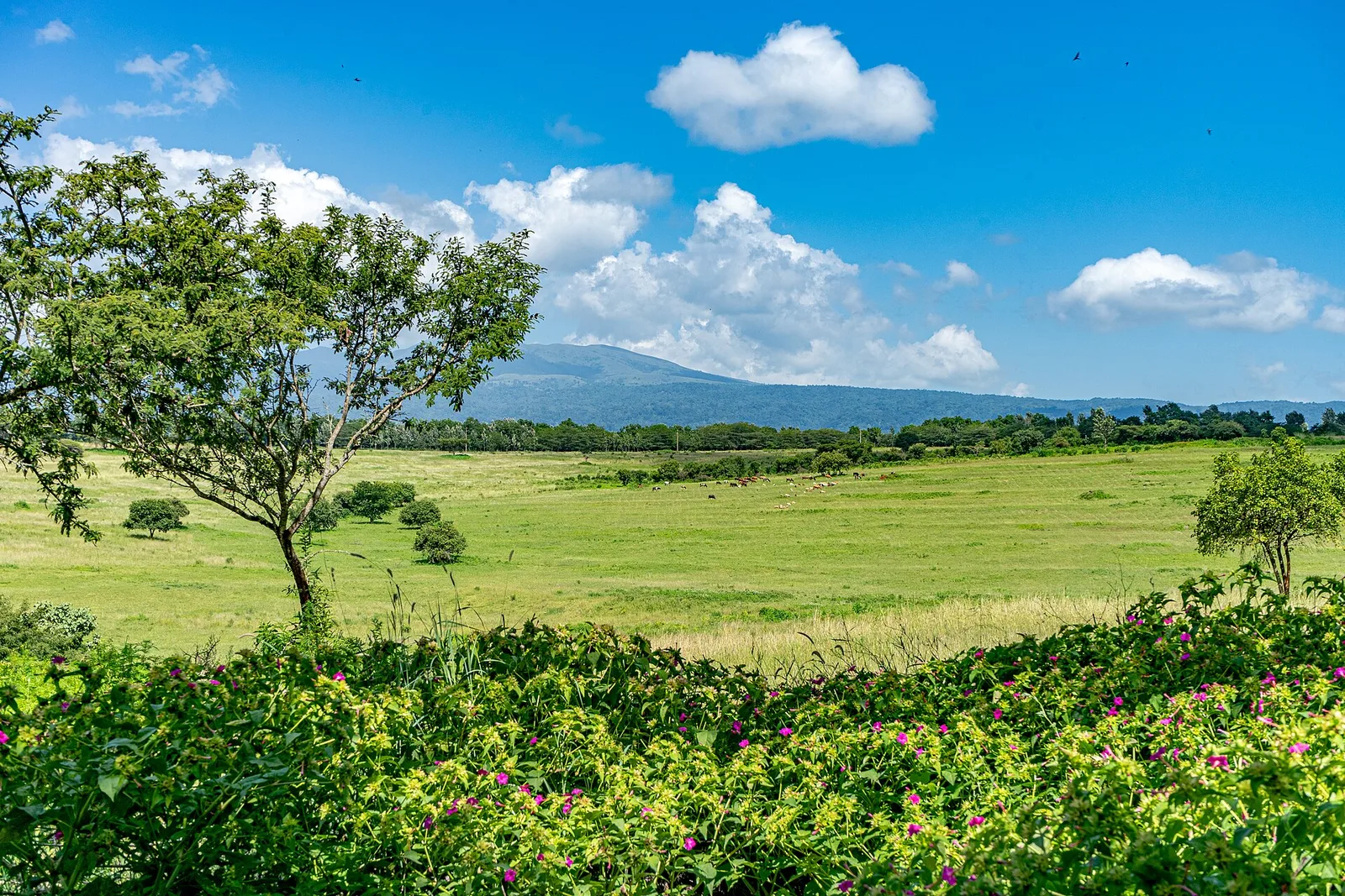 Karatu and Ngorongoro, Tanzania