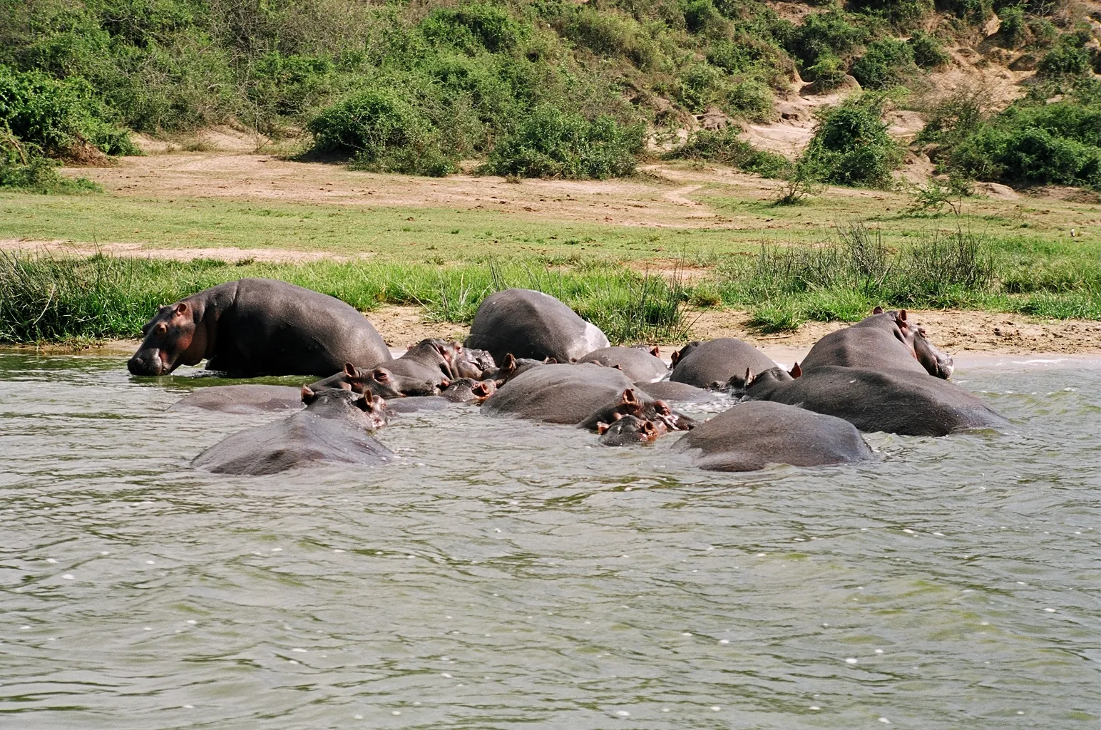 Queen Elizabeth National Park, Uganda