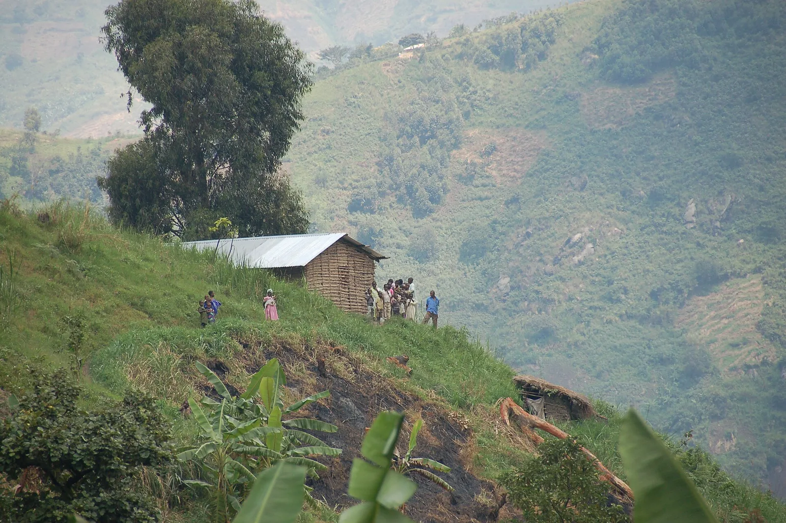 Rwenzori Mountains, Uganda