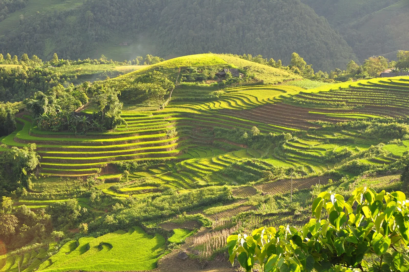 Sapa and Muong Hoa, Vietnam