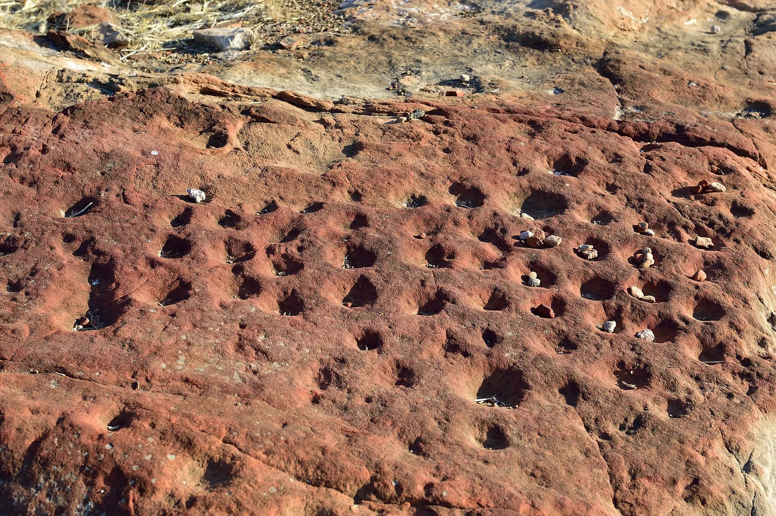 Mapungubwe and Limpopo heritage, South Africa