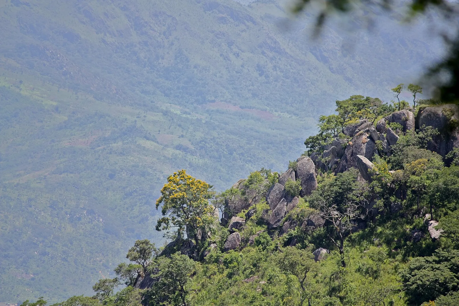 Vumba and Mutare, Zimbabwe