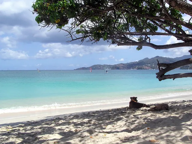 Grand Anse and Moliniere