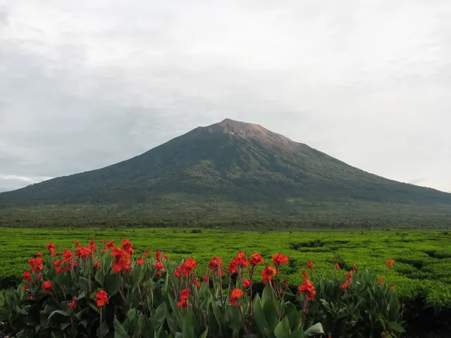 Kerinci Seblat gateway