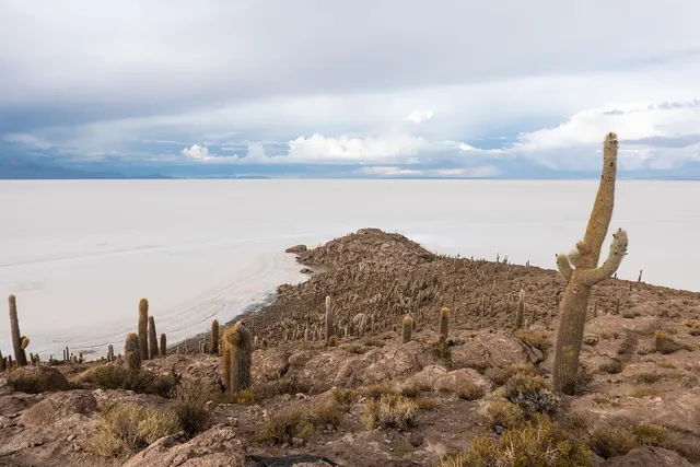 Salar de Uyuni and Incahuasi