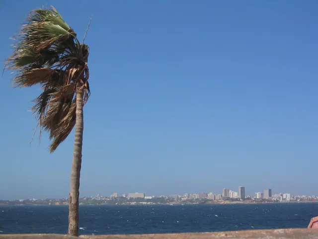 Dakar Plateau and markets