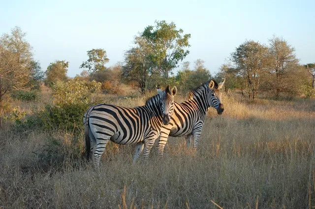 Southern Kruger National Park