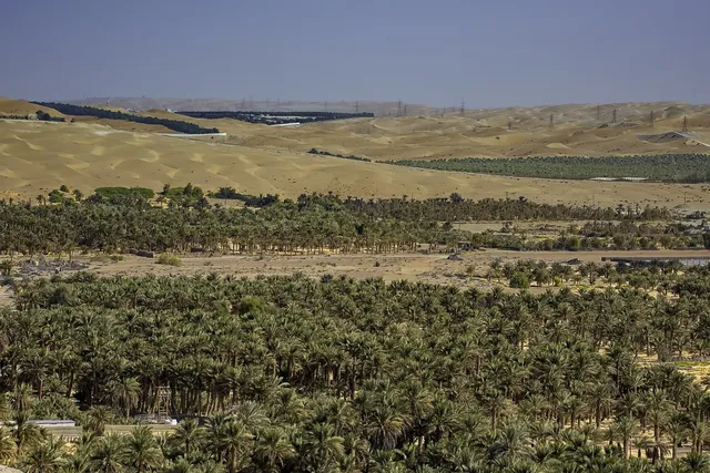 Liwa and Empty Quarter