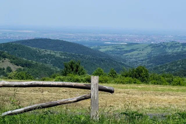 Fruška Gora and Sremski Karlovci